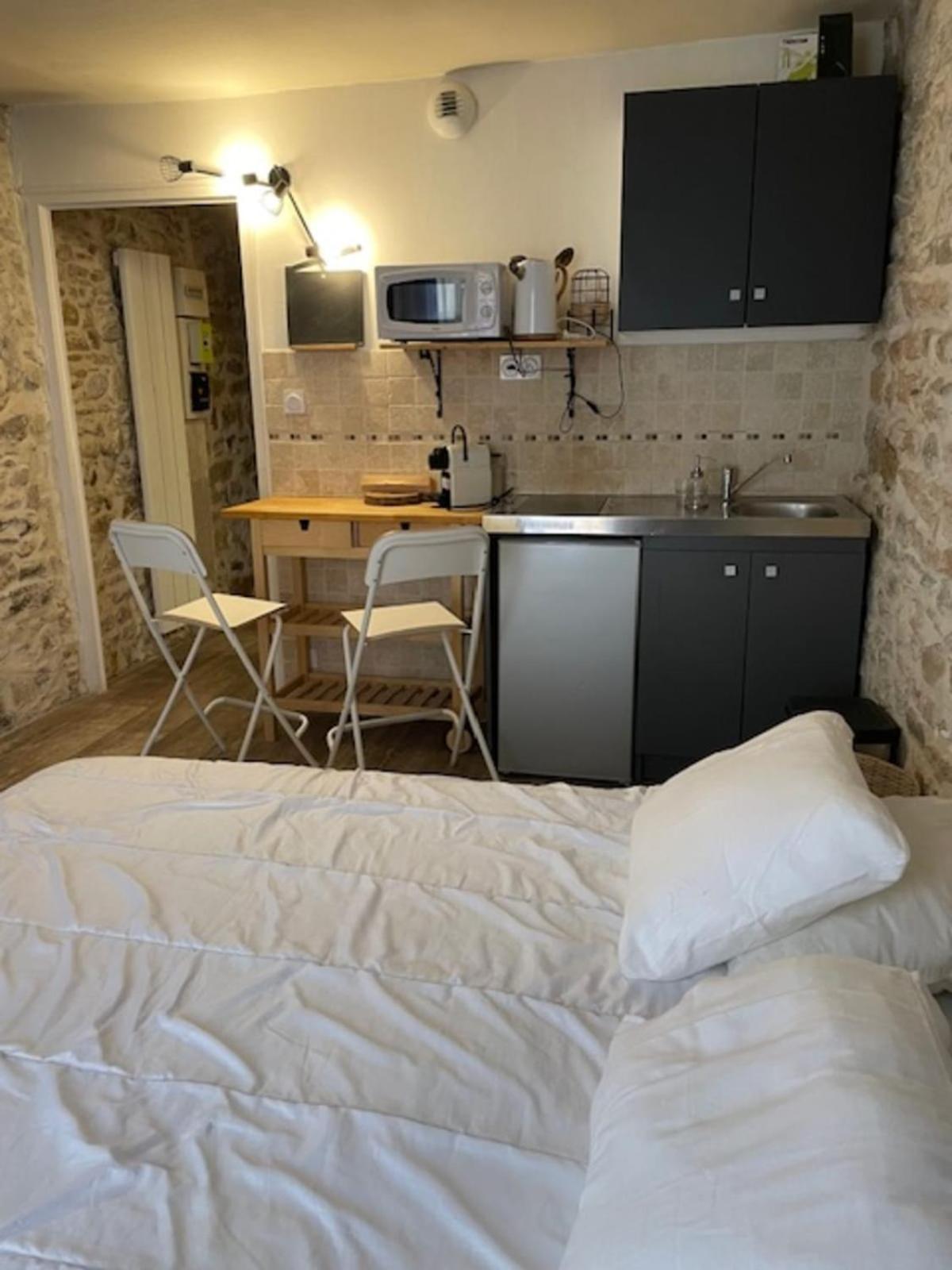 Studio With Exposed Stone Vieux Lyon Exterior photo