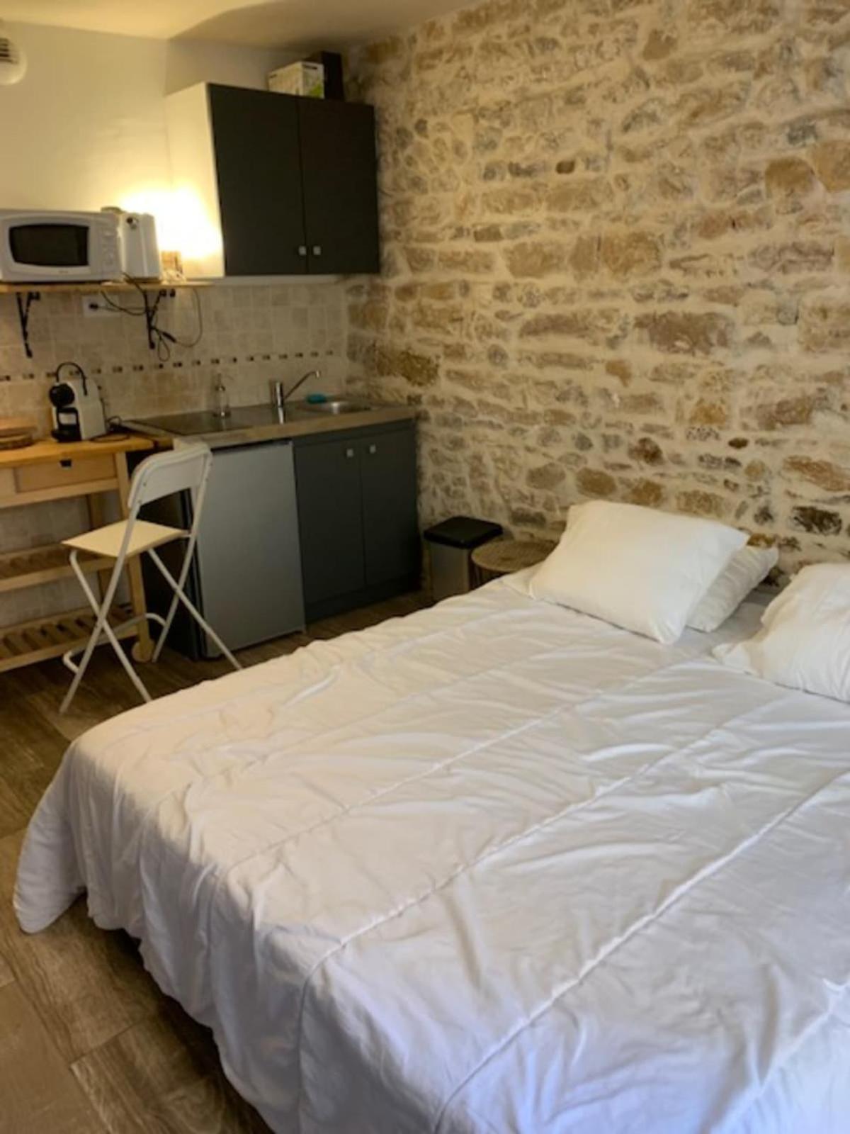 Studio With Exposed Stone Vieux Lyon Exterior photo